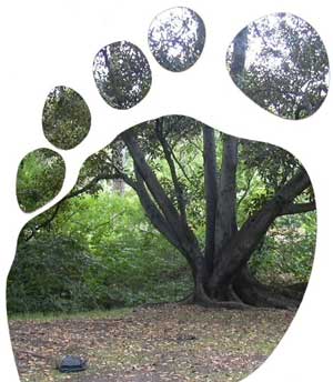 – 200711eco footprint image sm