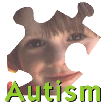 – 200801autism 2