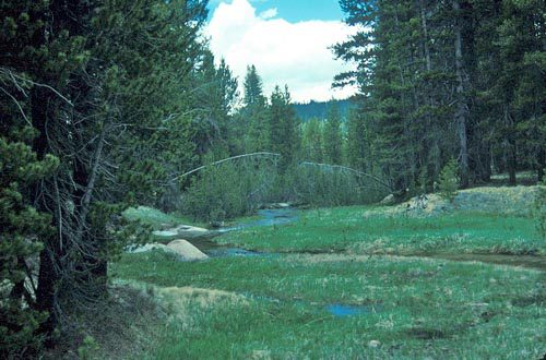 – 200807tuolumnemeadows1