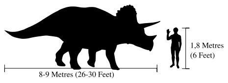 – 200808465px human triceratops size comparisonsvg