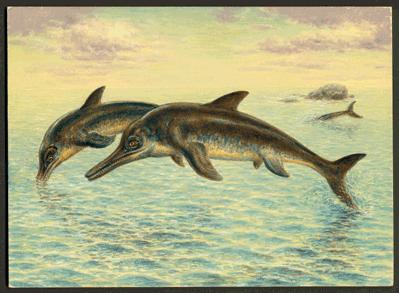 – 200808ichthyosaur1 760767