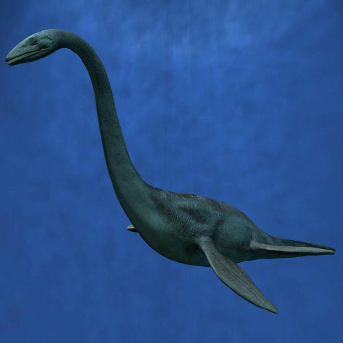 – 200808plesiosaur1