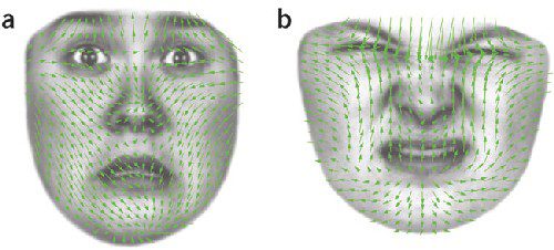 – 200903facial