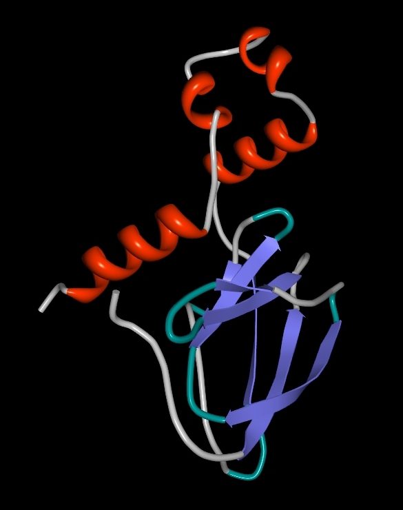 – 200903vhl components