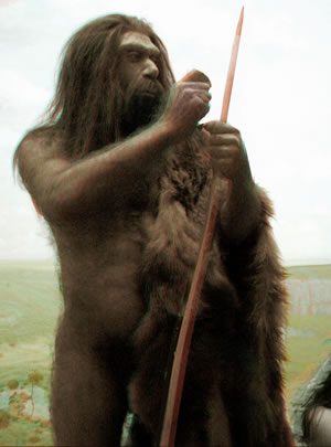 – 200905neanderthal 2d