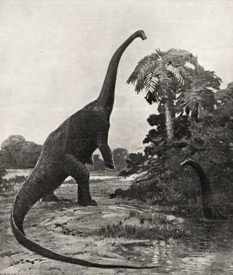 – 200905sauropod1