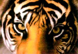 – 201009tiger