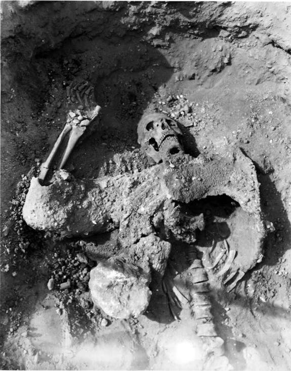 – 201103persian skeleton