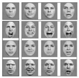 – 201104face recognition