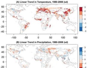 – 201105climate change crop