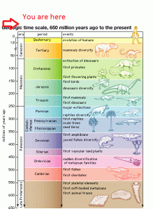 – 201106geologic time scale