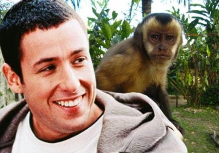 – 201107adam sandler and capuchin monkey