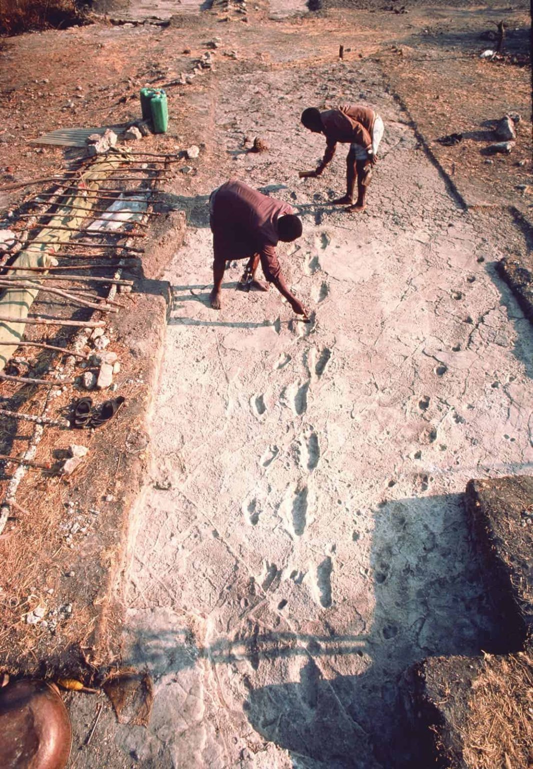 – 201107australopithecus footprint