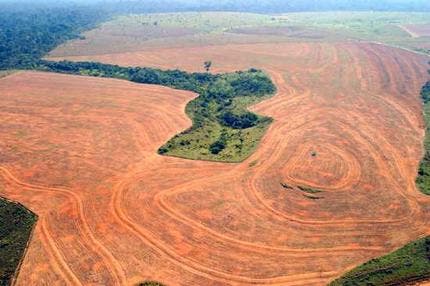 – 201110deforestation