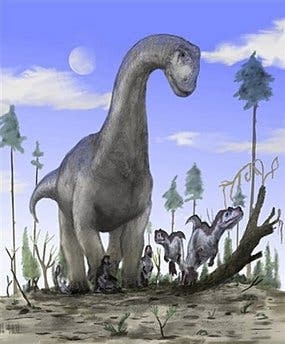 – 201110sauropod