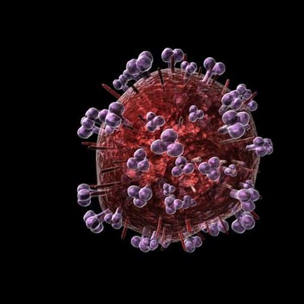 – 2011113d model hiv