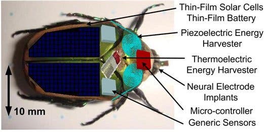 – 201111CyborgBug UniversityOfMichigan