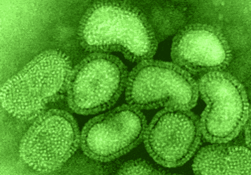 – 201111influenza