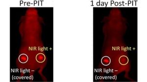 – 201111light therapy cancer