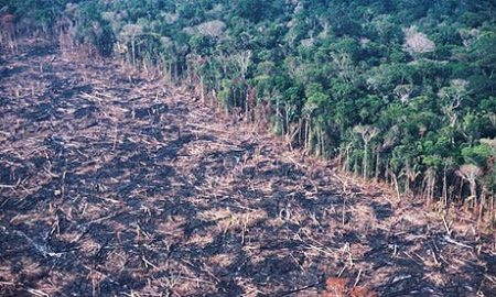 – 201201brazil Deforestation