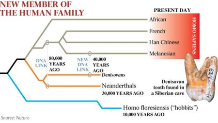 – 201202325457 denisovans2