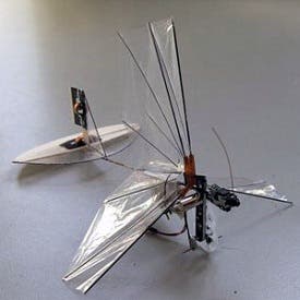 – 201202334564 robot dragonfly