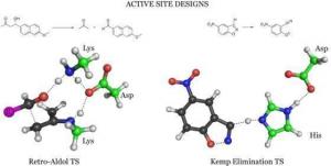 designer enzymes