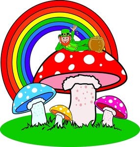 magic mushroom