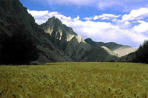 A Himalayan landscape