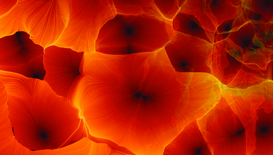 At first glance, it looks like this could be a microscopic image of tree bark or seashell; or it might be a cluster of blood cells in the body. But this evocative image depicts the grandest scales of all — streams of matter delineating the network of cosmic voids, each tens of millions of light years across. Matter accumulates where the voids meet, forming a cosmic web of walls, filaments, and clusters of galaxies. This illustration was awarded first place in the informational graphics category in the 2011 <em>Science</em>/NSF International Science &amp; Engineering Visualization Challenge.