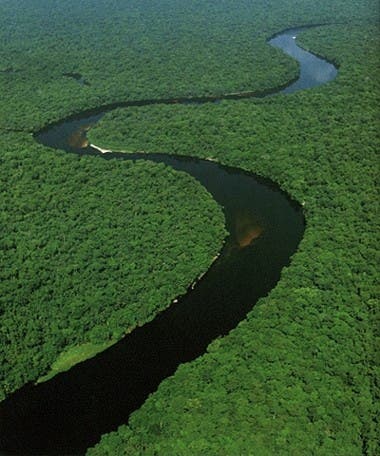 Congo River 