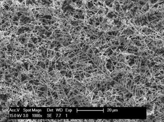 Fractal silver structures grown by electrochemical reduction of silver nitrate on a fluorine doped tin oxide film. (c) Frank Osterloh, UC Davis