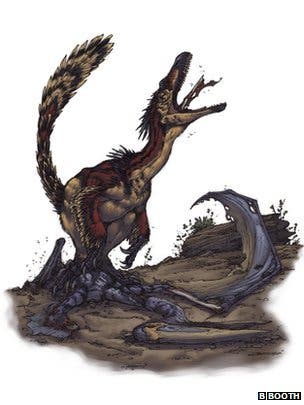 Velociraptor 