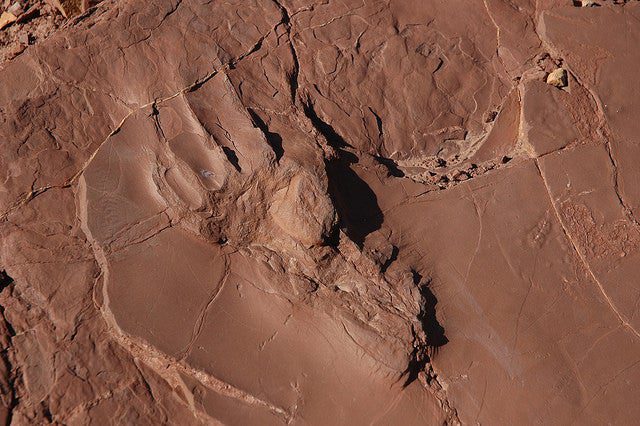 Prehistoric Trackways National Monument