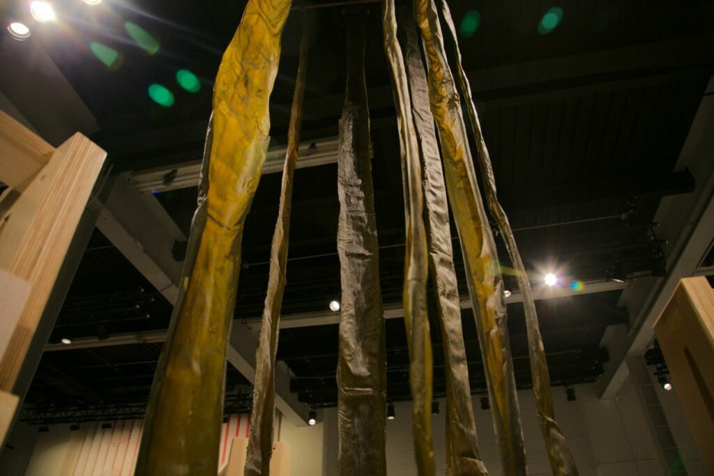 Streamers of glutamate-rich kombu seaweed stretch from ceiling to floor