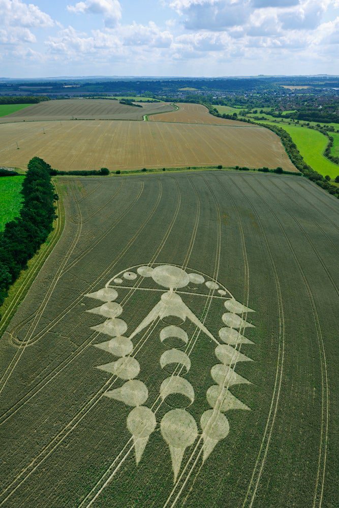 This circle was noteworthy for its huge scale, Alexander said. It spanned approximately 400 feet in a wheat field. Its geometry was imperfect, but the complex design intrigued Richard Taylor, a physicist who studies fractals.