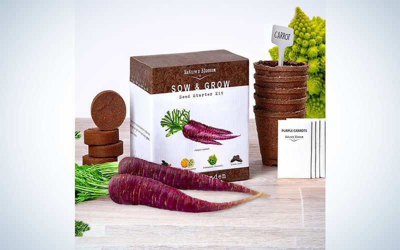 Nature's Blossom Veg Growing Kit