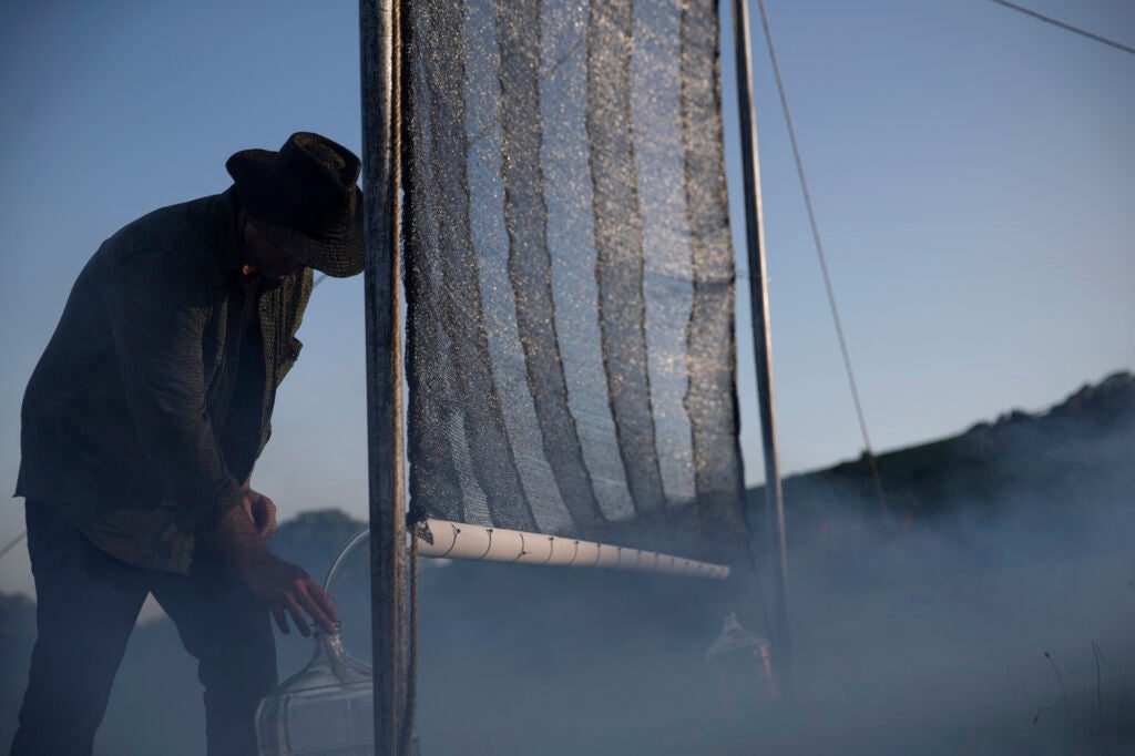 Chris Fogliatti and his fog catcher