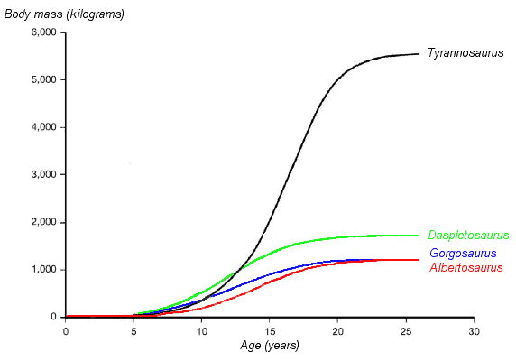 Comparison between T-Rex and other predator dinosaurs.