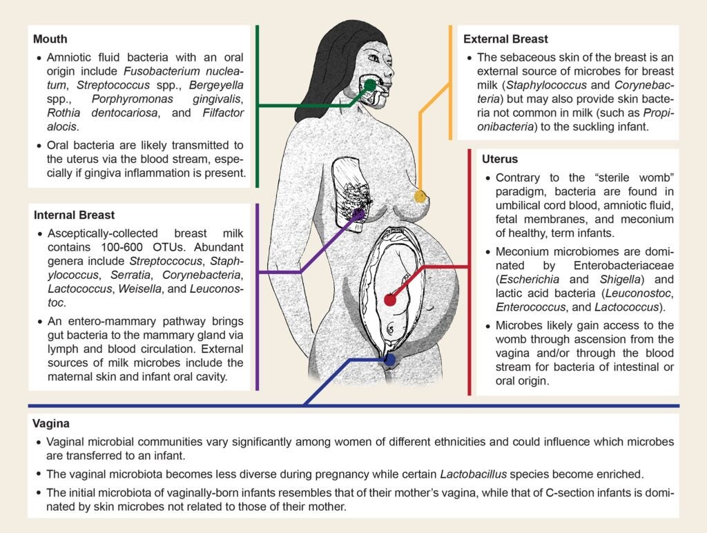 httpswww.popsci.comsitespopsci.comfilesimport2014journal.pbio_.1001631.g001.jpg