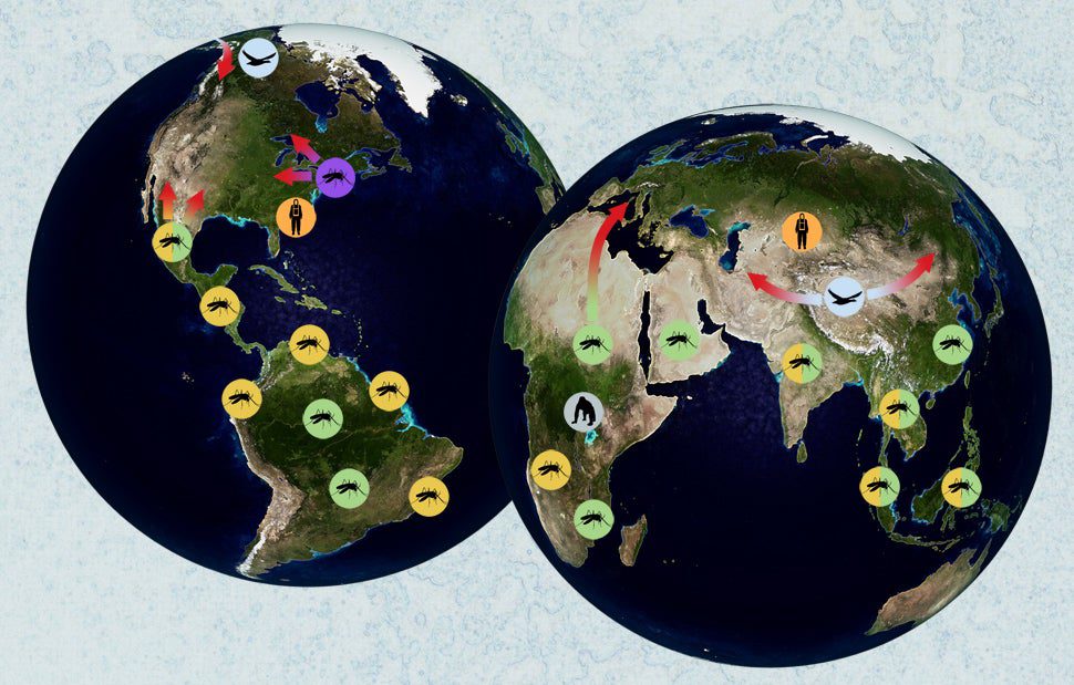 httpswww.popsci.comsitespopsci.comfilesimport2013importPopSciBlankPagesdiseasemap.jpg