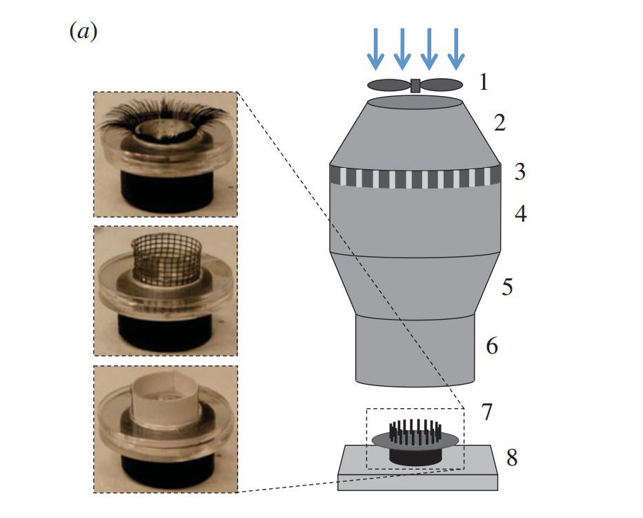 Eyelash Windtunnel