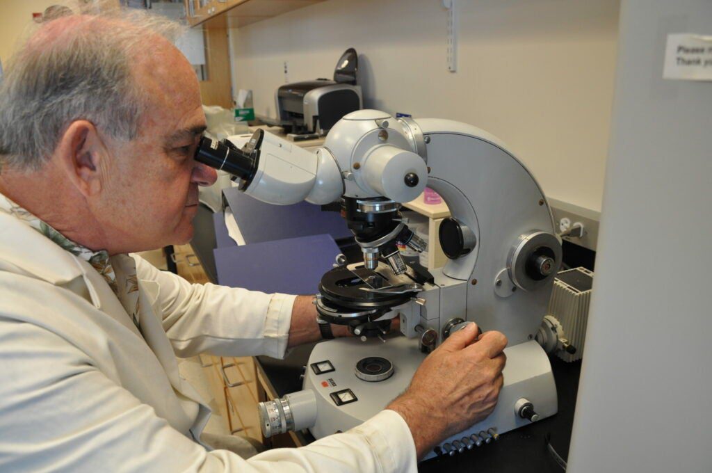 Doctor watching in microscope