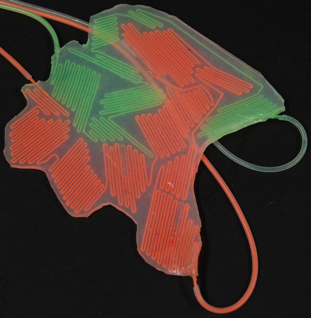 Microchannels embedded in the soft robot's skin are filled with fluorescent dyes, allowing it to change colors.