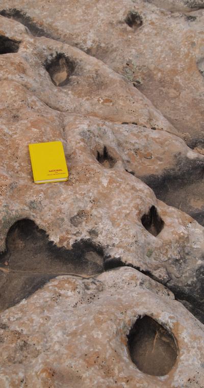 This photo shows a trackway—a set of prints made by one dinosaur as it walked through a wet, sandy oasis some 190 million years ago, in what is now the Coyote Buttes North area, located within the Vermilion Cliffs National Monument near the Utah-Arizona border. In October, University of Utah geologists published a new study in the journal <em>Palaios</em> showing that numerous impressions at the site are dinosaur tracks, not erosion-caused potholes as was previously believed.