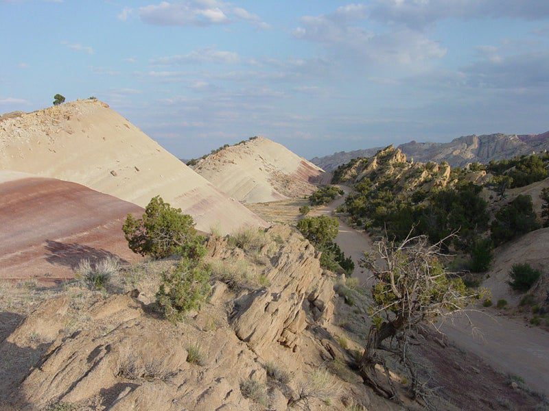 Fossil dinosaur bones have been found in the Morrison Formation, shown here exposed along the Notom-Bullfrog Road in Capitol Reef National Park. The Morrison Formation is the youngest rock unit from the Jurassic Period.