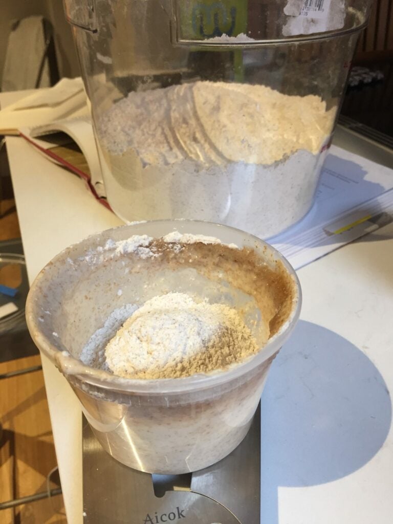 sourdough starter