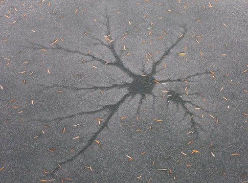 Water draining through ice, creating a Lichtenberg figure.