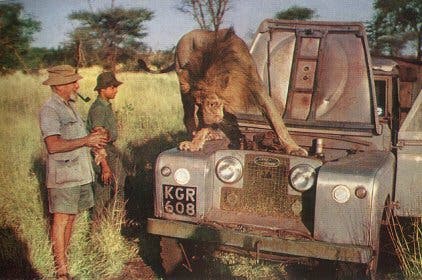 Lions loved him so much they often repaired his car