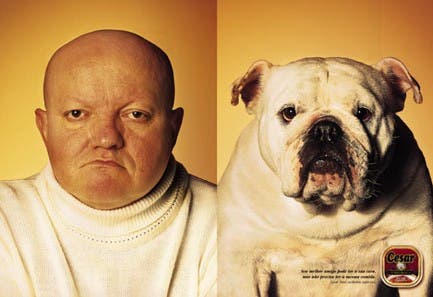 man-looking-like-bulldog